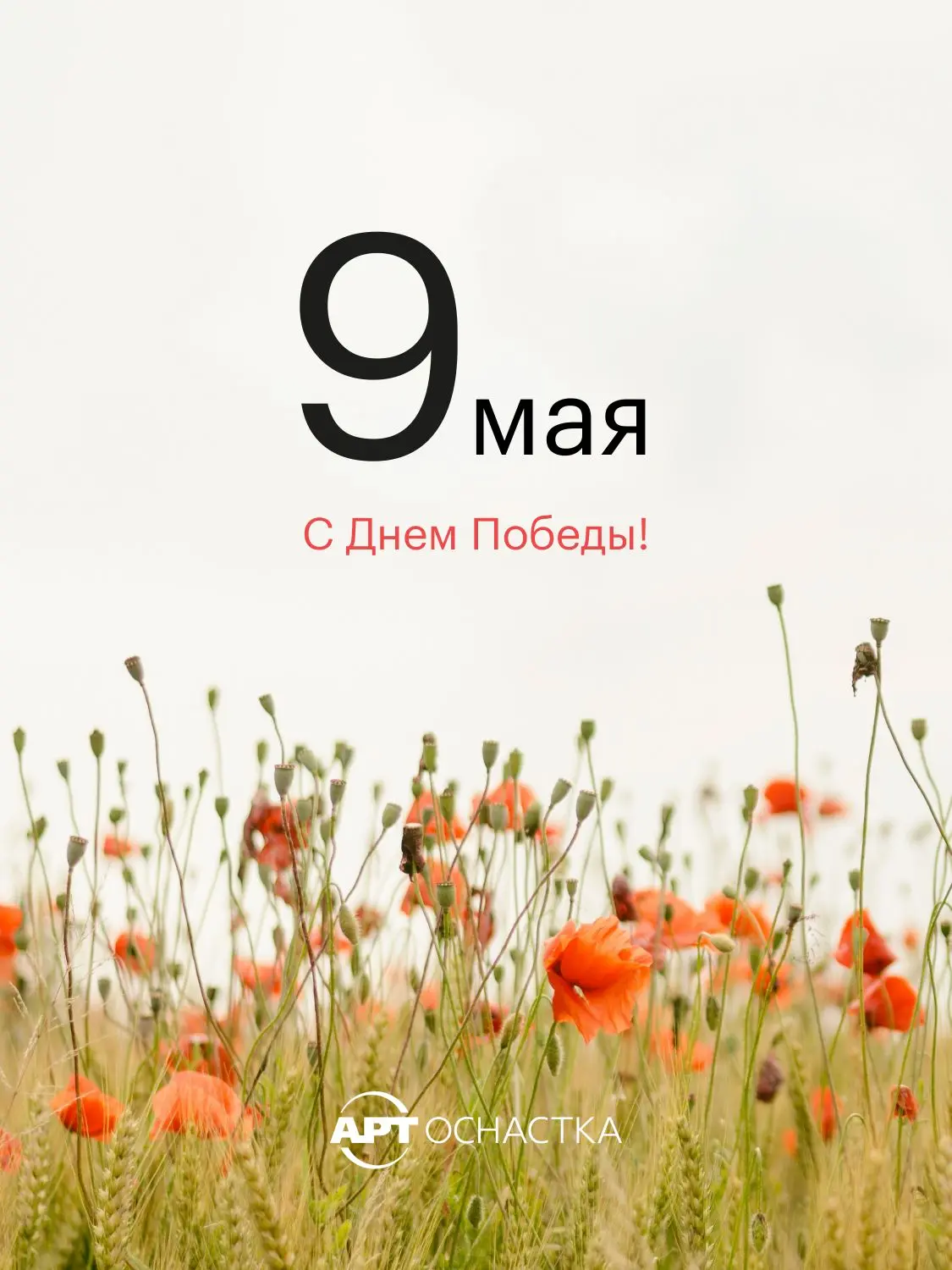 9 Мая — день памяти, гордости и благодарности тем, кто подарил нам мирное небо и будущее.