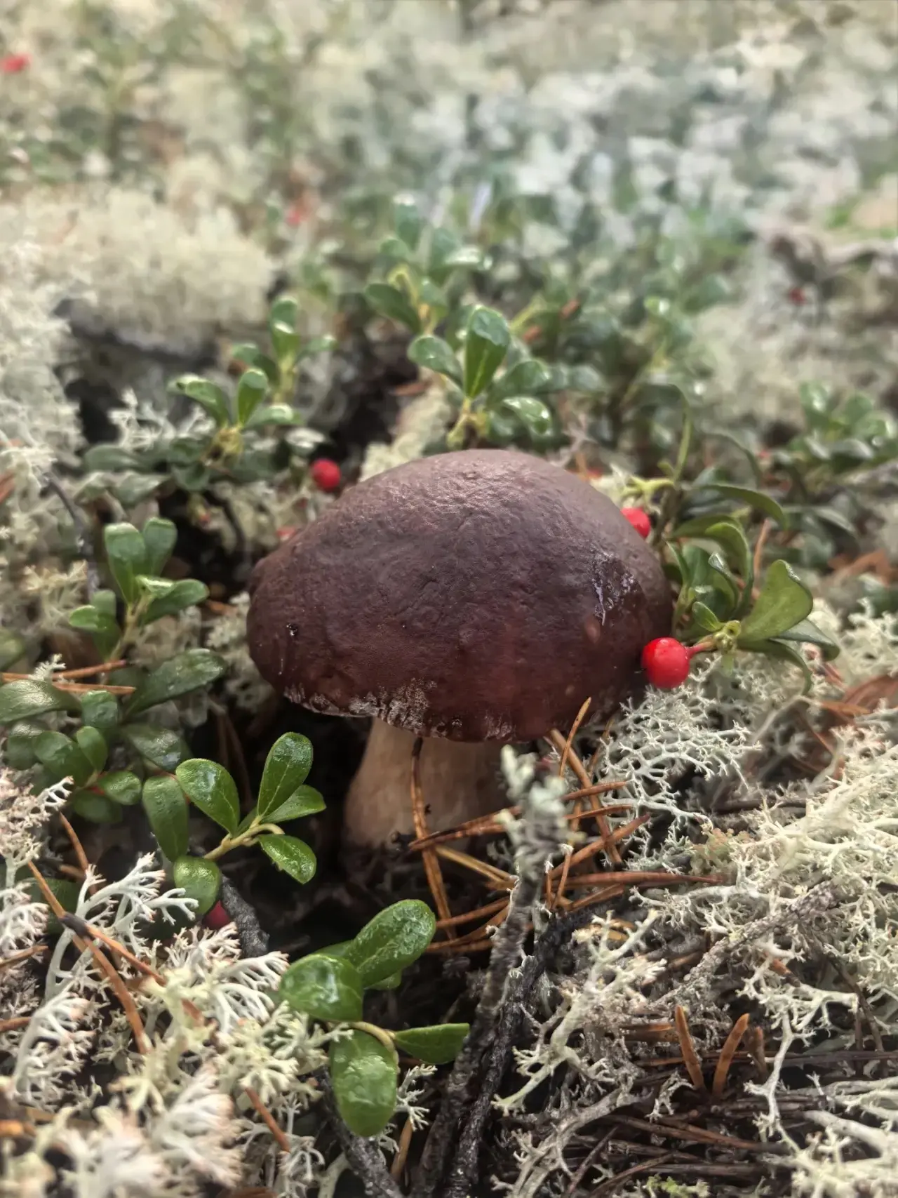 Подведены итоги муниципального экологического фотоконкурса! 🍃