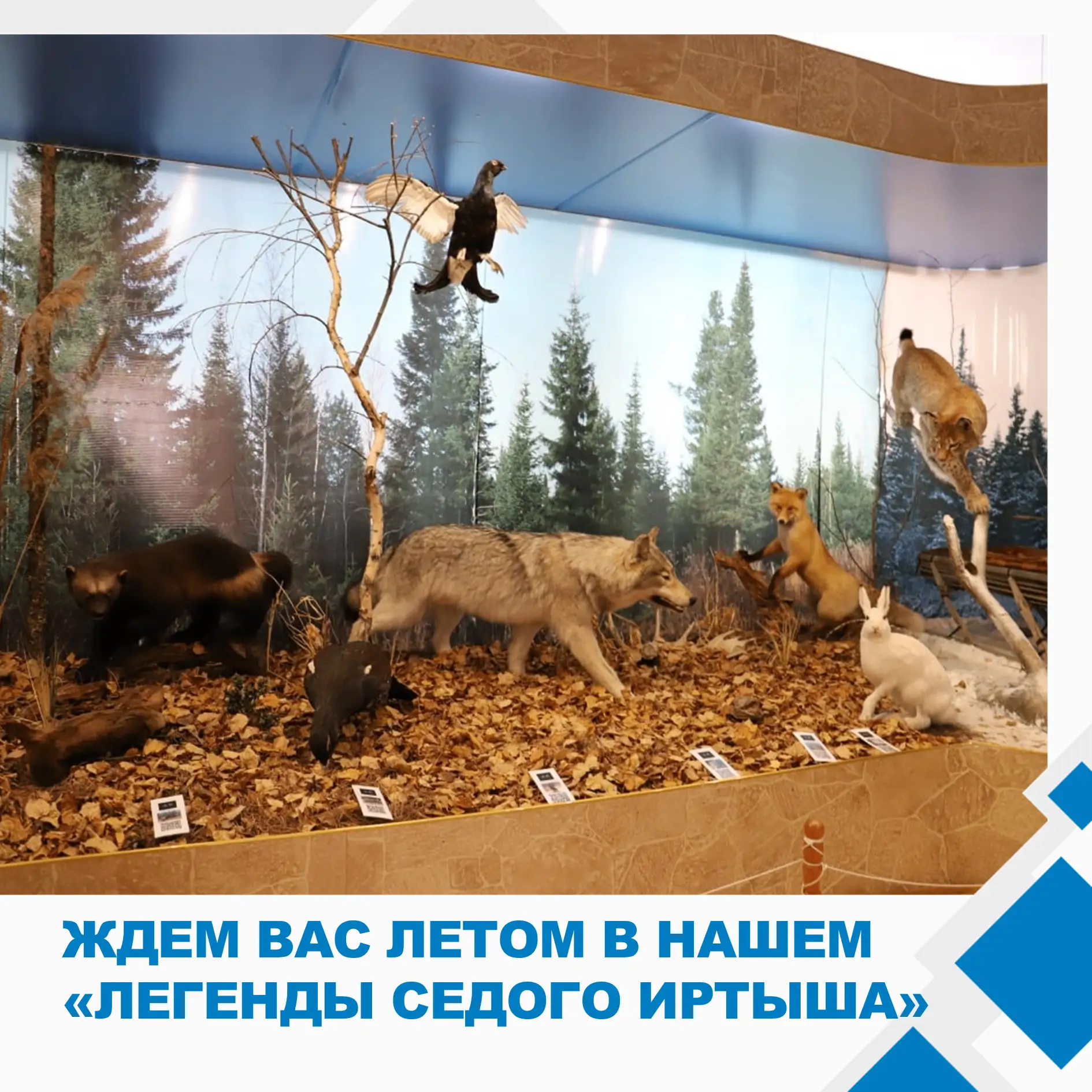 Школьные каникулы уже на старте, а значит, самое время заменить бесконечный скроллинг н...