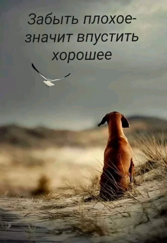 🌹Открытки для любимых