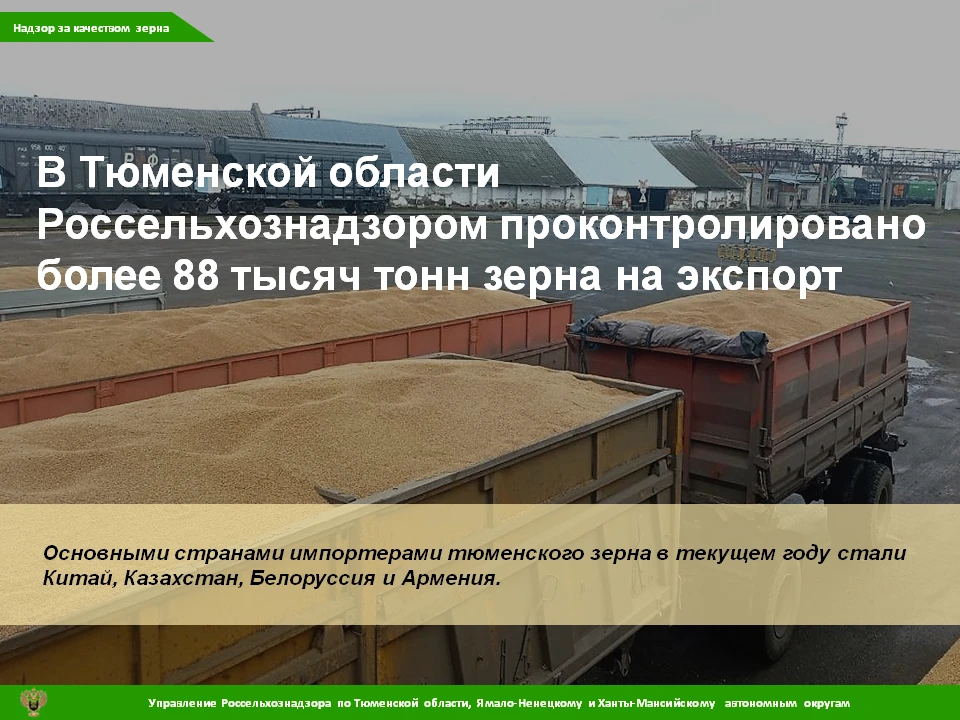 🌾С 12 января по 4 августа 2026 года Россельхознадзор в Тюменской области досмотрел 206...