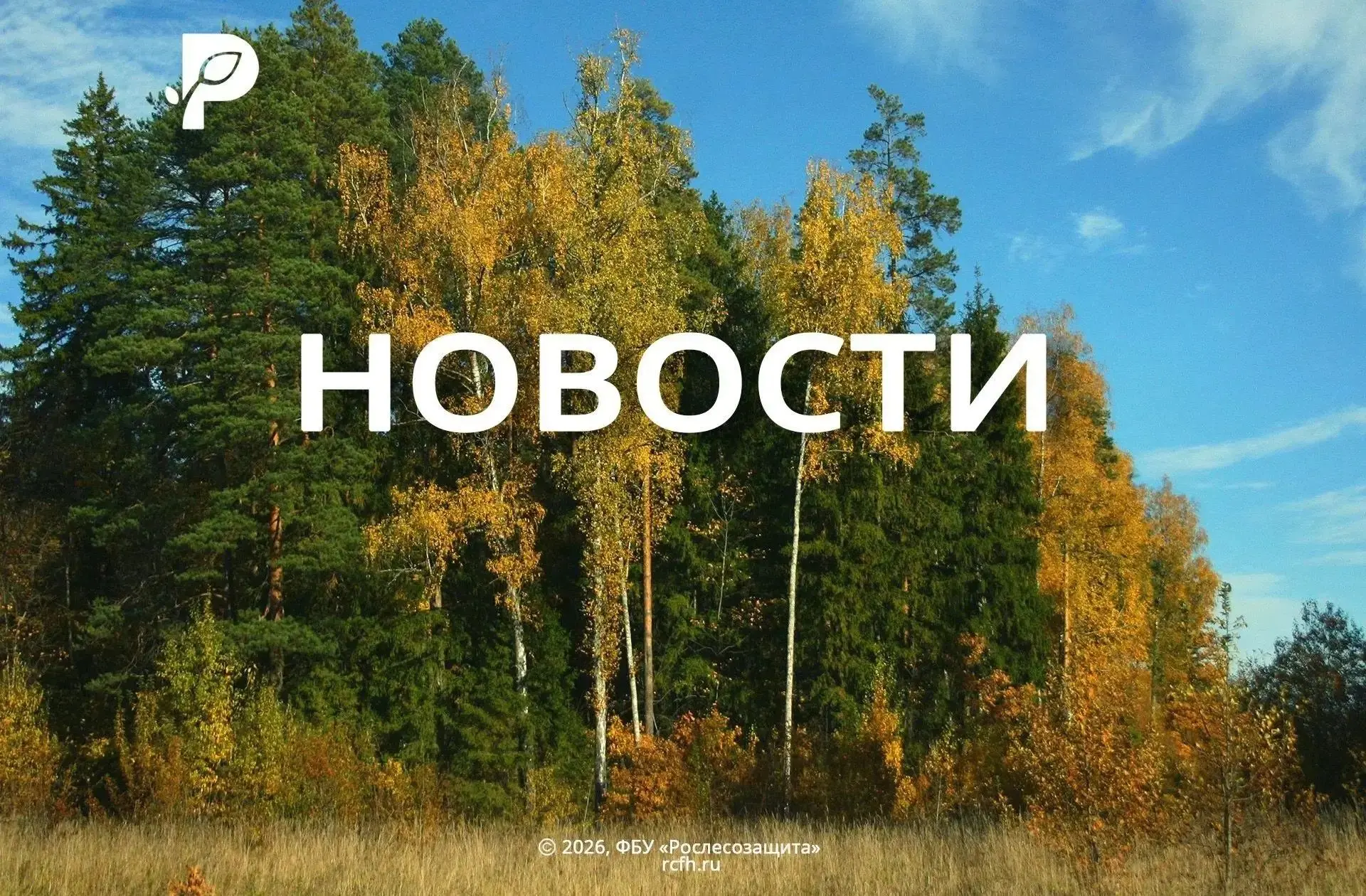 🟢 Леса Пензенской области проверяют на радиацию