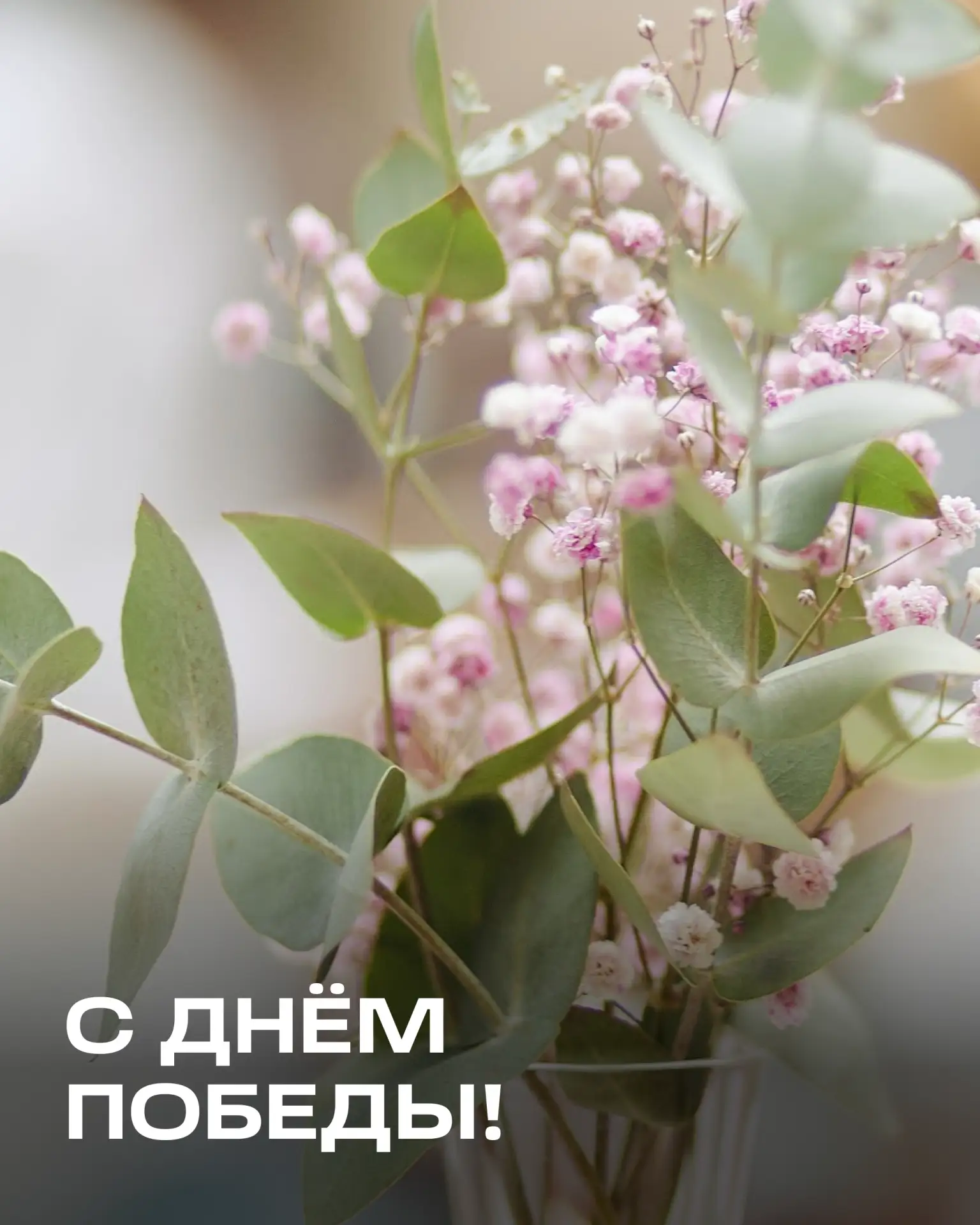С Днём Победы, дорогие! ❤️