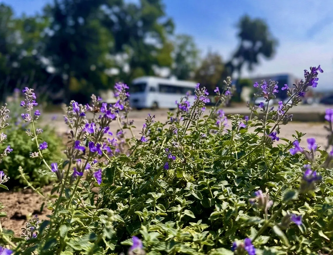 Доброе утро, район!