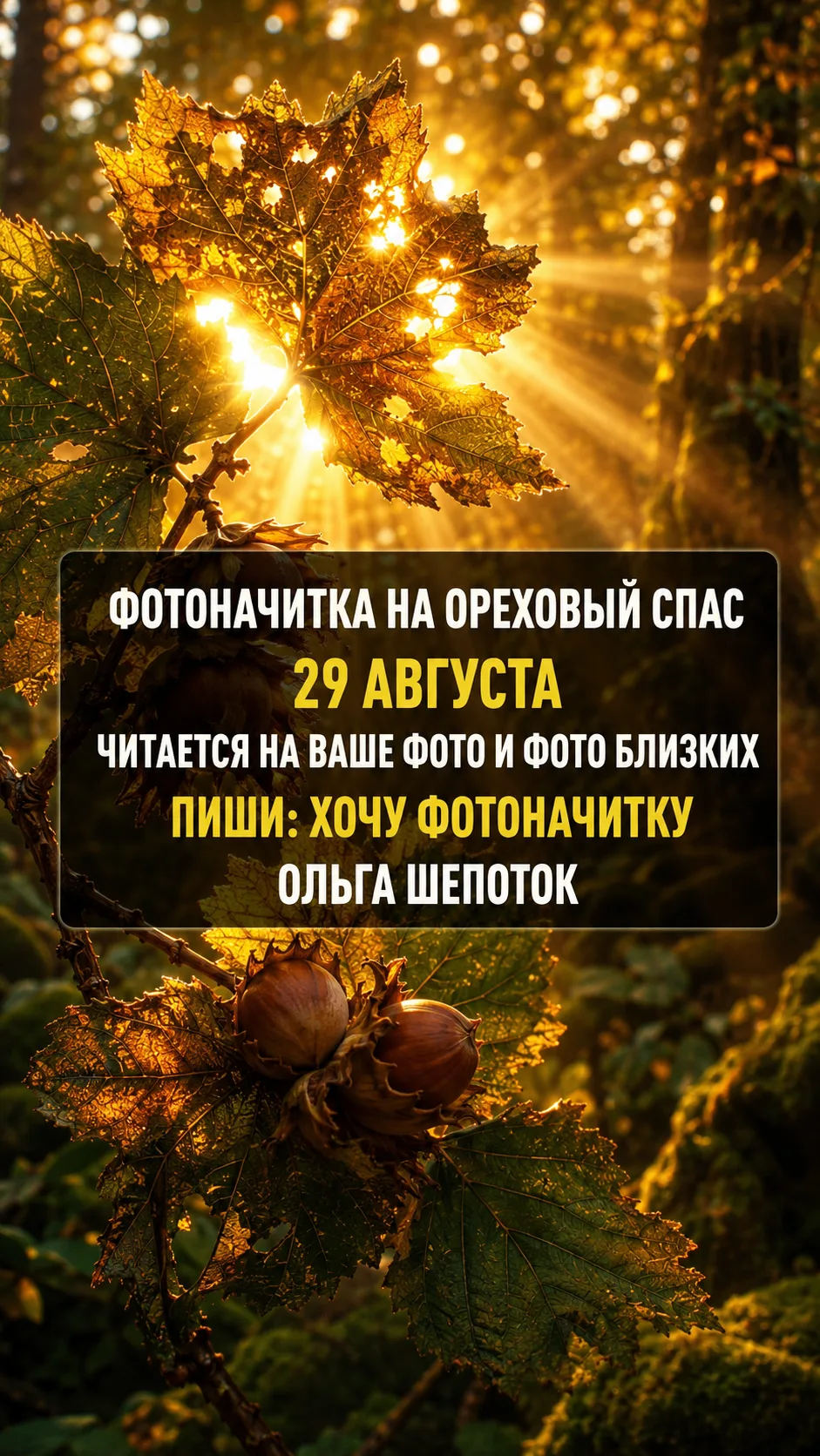 ФОТОНАЧИТКА НА ОРЕХОВЫЙ СПАС (29 АВГУСТА)