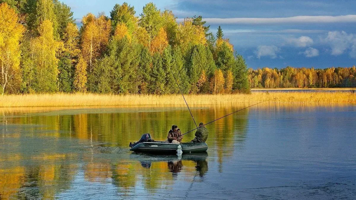 🍁 Осень — любимое время многих рыболовов, но именно в этот период вода становится кова...