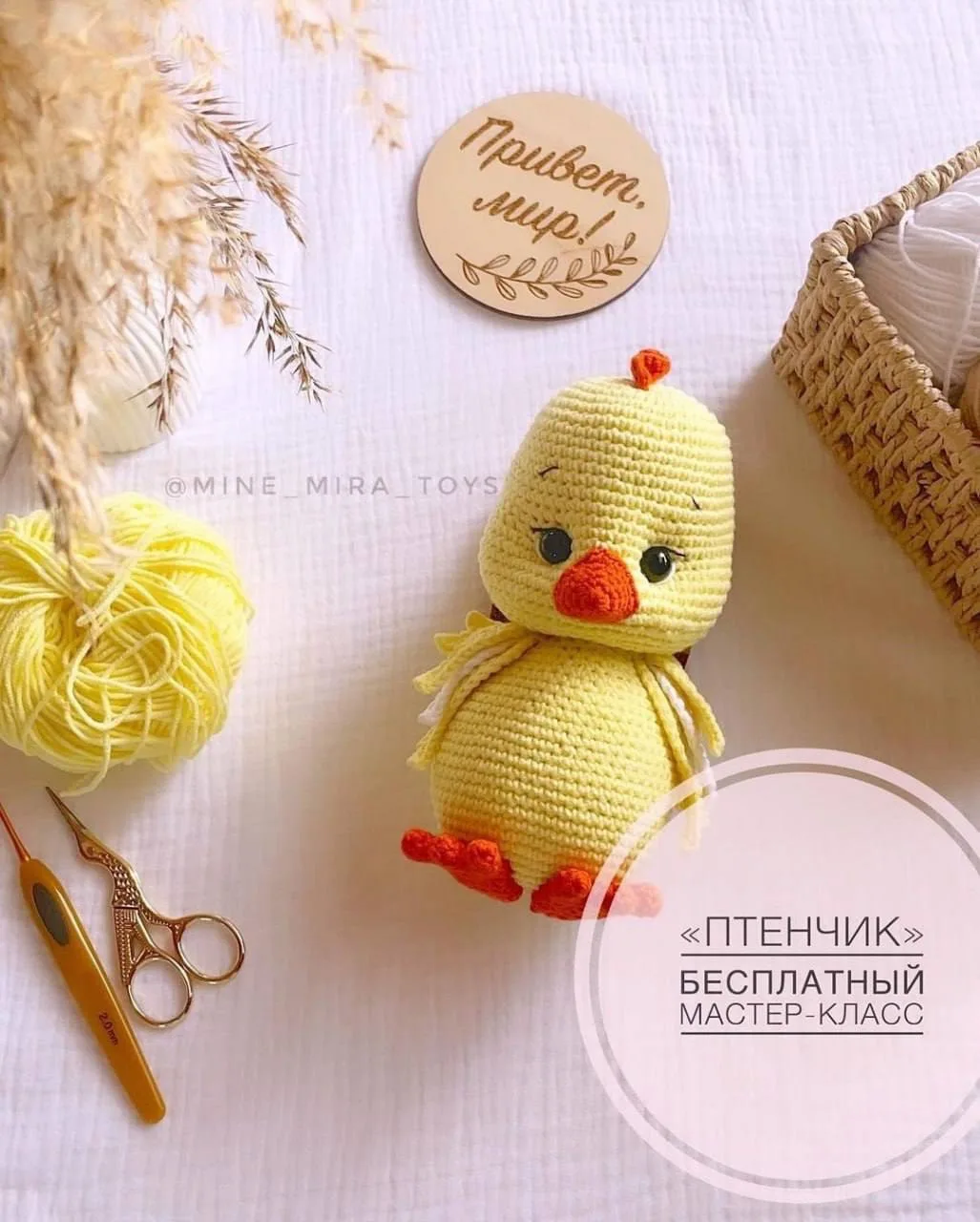 Схема амигуруми «Птенчик»

Будете вязать?
👍 - Да
😍 - Нет

Амигуруми • мастер-классы