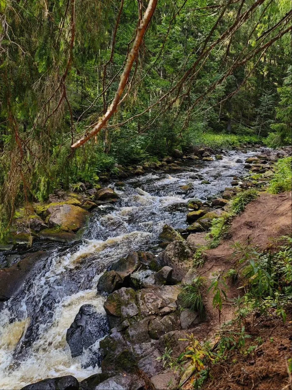 🌳Куда отправиться с детьми в Карелии: эко-этнопарк «Долина водопадов»
