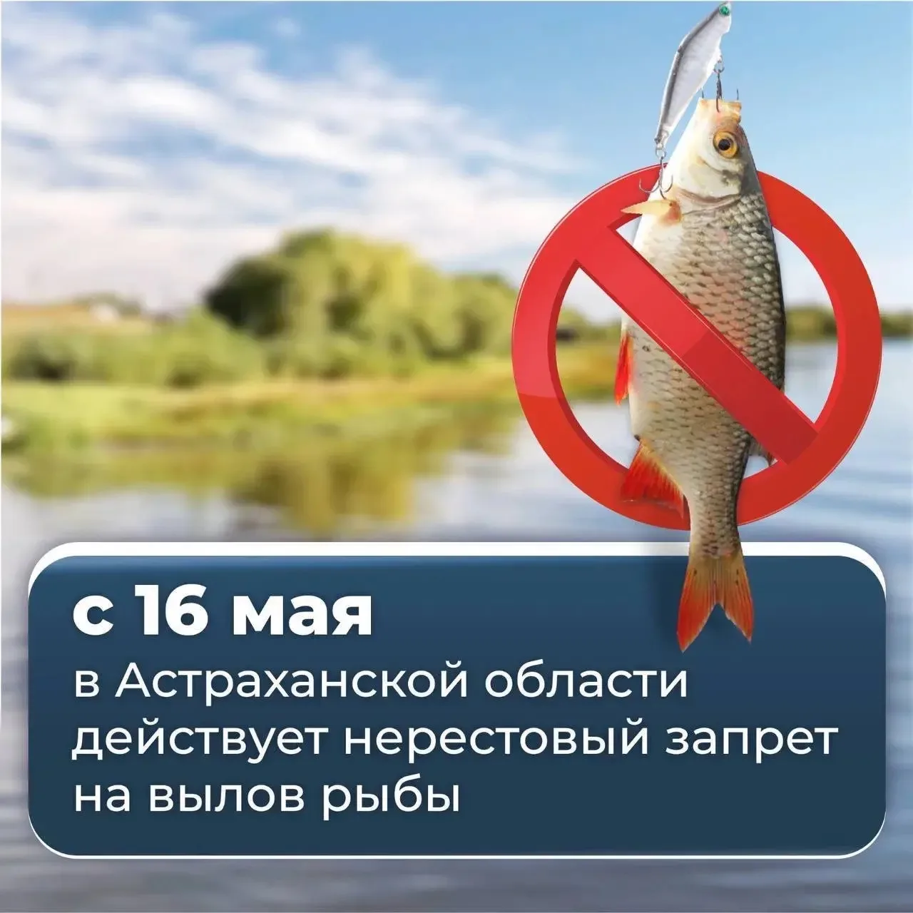 С завтрашнего дня и до 20 июня в Астраханской области действует нерестовый запрет.