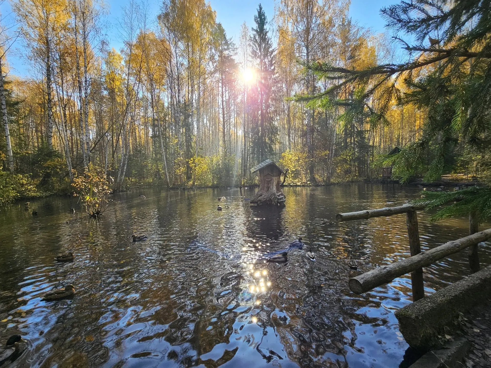 Балатовский парк