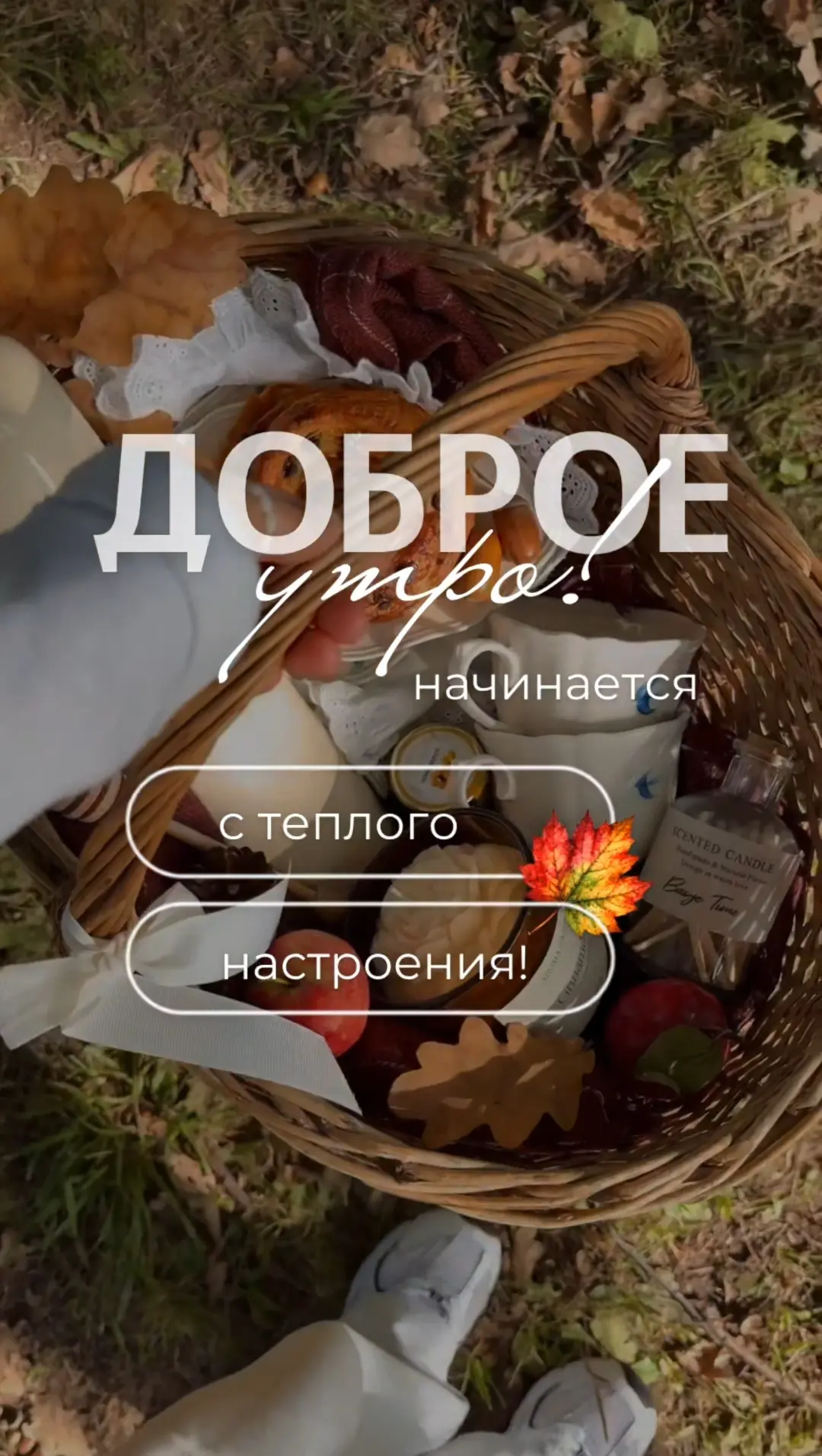 Доброе утро начинается с тёплого настроения!