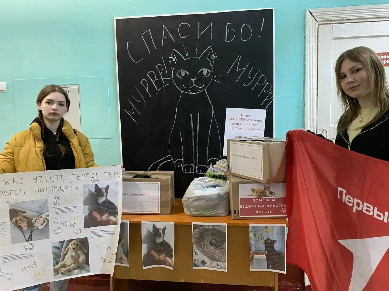 Учащиеся, родители и педагоги нашей школы собрали корм для животных Дорогинского приюта...