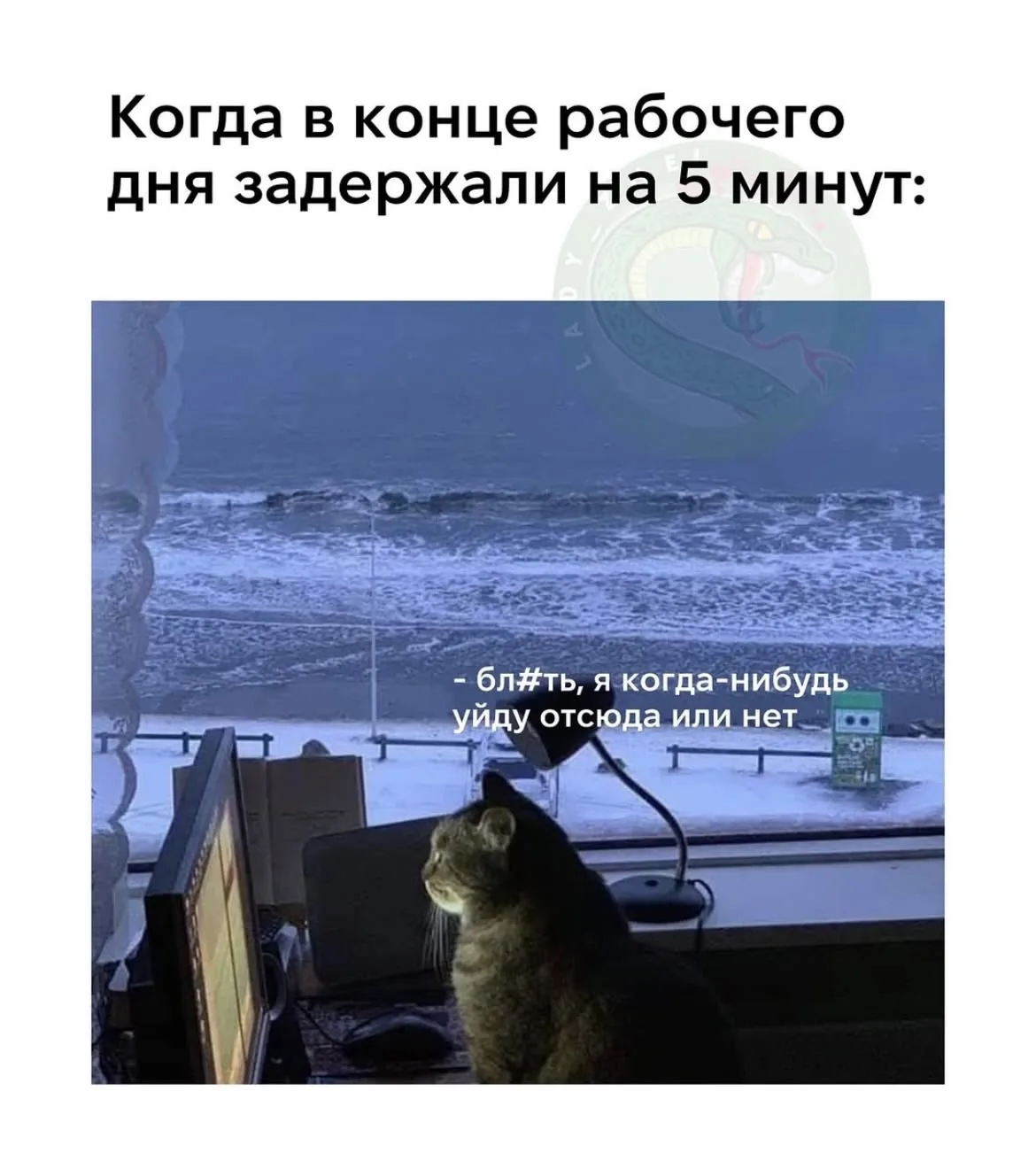 5 августа 

доходы:
108 539,23 - зарплатка

расходы:
1 111 - продукты 
мог бы быть бесплатный день ,