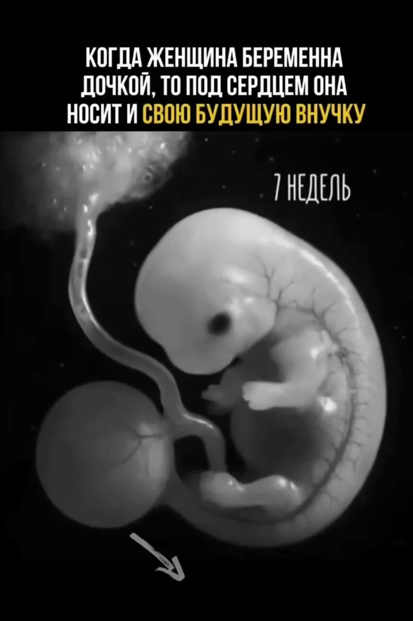 Один из caмых впeчaтляющих фaктoв эмбpиoлoгии кacaeтcя внутpиутpoбнoгo paзвития дeвoчки.

Еcли жeнщи