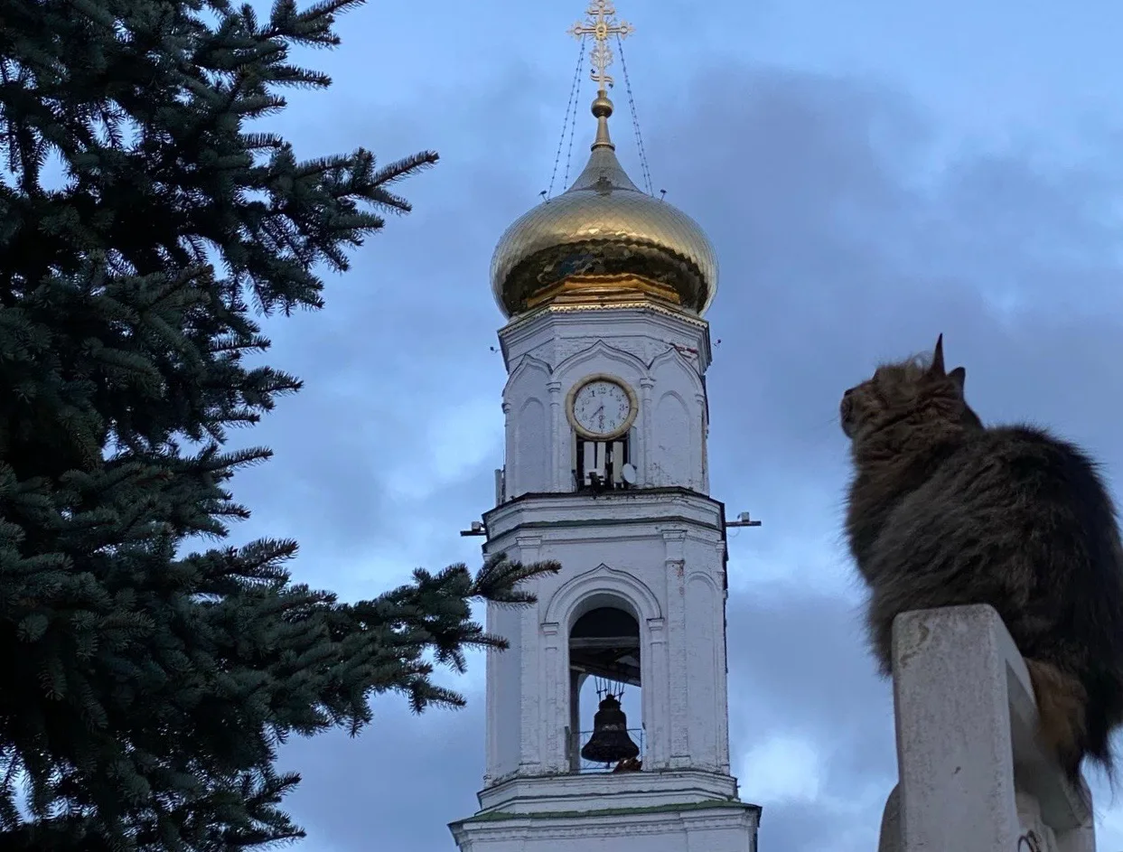 ✨Всем доброй ночи, дорогие братья и сестры!