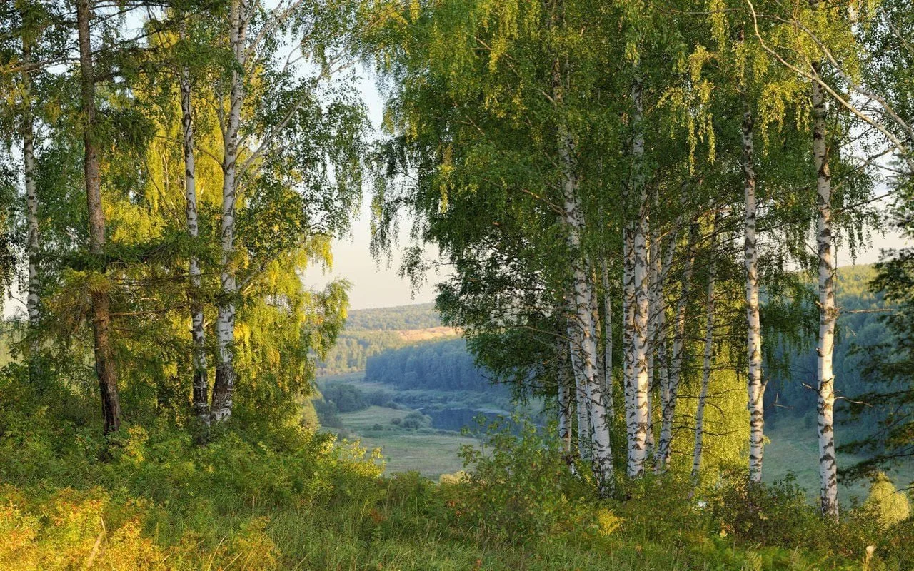 Есть что-то прекрасное в лете,