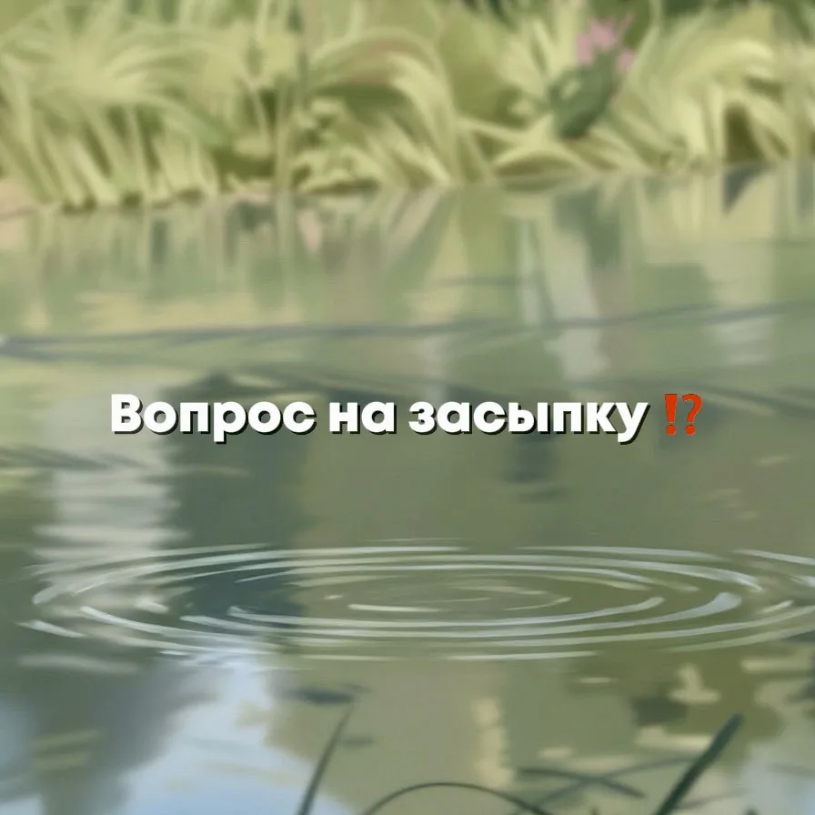 Вопрос на засыпку ⁉️