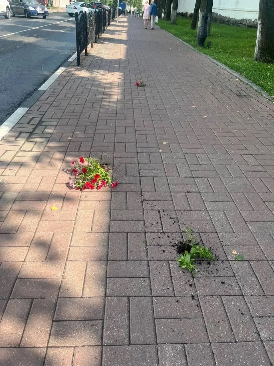 🤬 И еще новости вандалов Ярославля