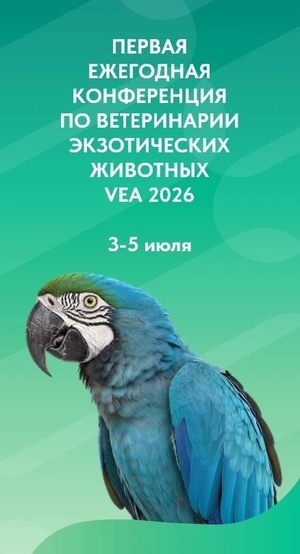 Завтра подорожание билетов на VEA 2026!