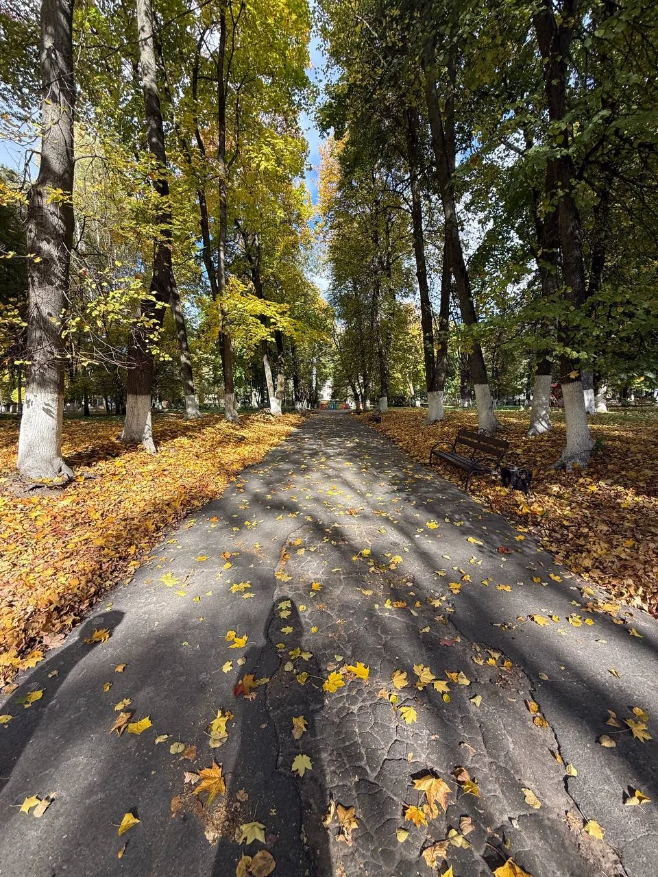Какая красота в парке