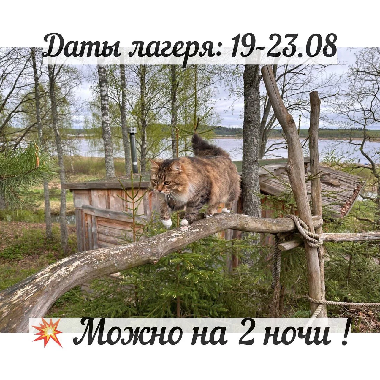 У нас есть предварительные даты лагеря 🎪 цирк | 🌳 фитнес | 🛖 юрты!

19 августа (среда) — 23 авгус