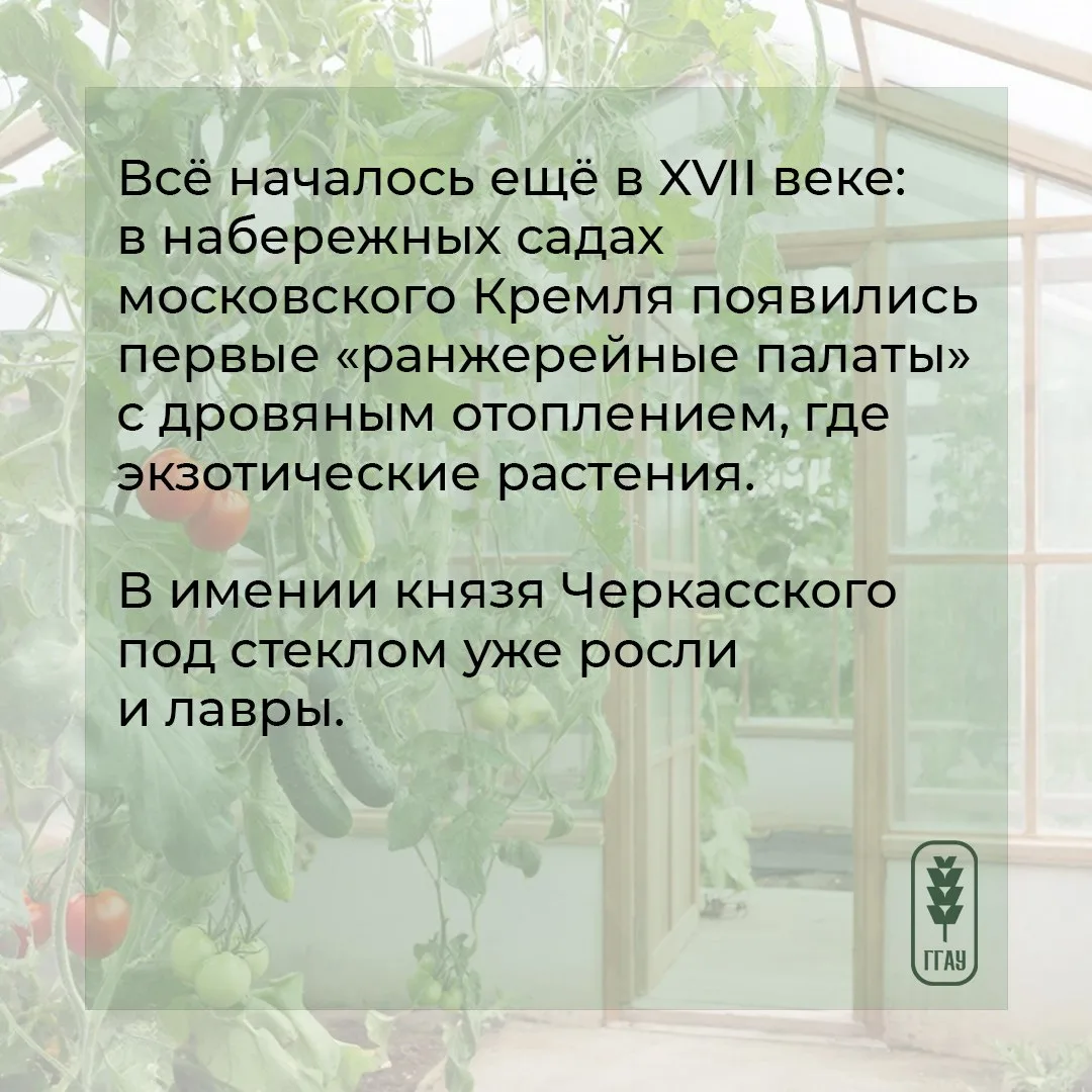 😉 Для одних понедельник – день тяжелый, а мы его сделаем – полезным и интересным. И расскажем о… пол