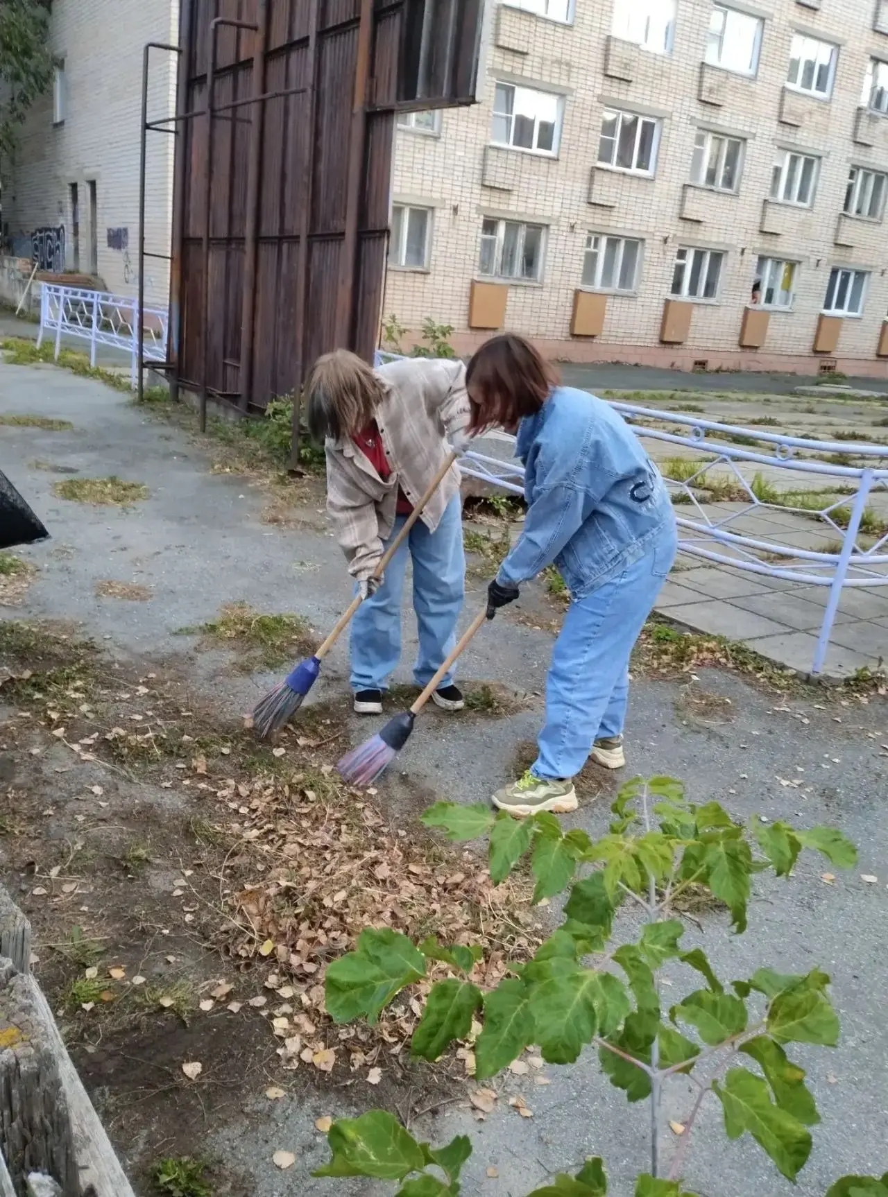 🌳Зеленый десант🌿