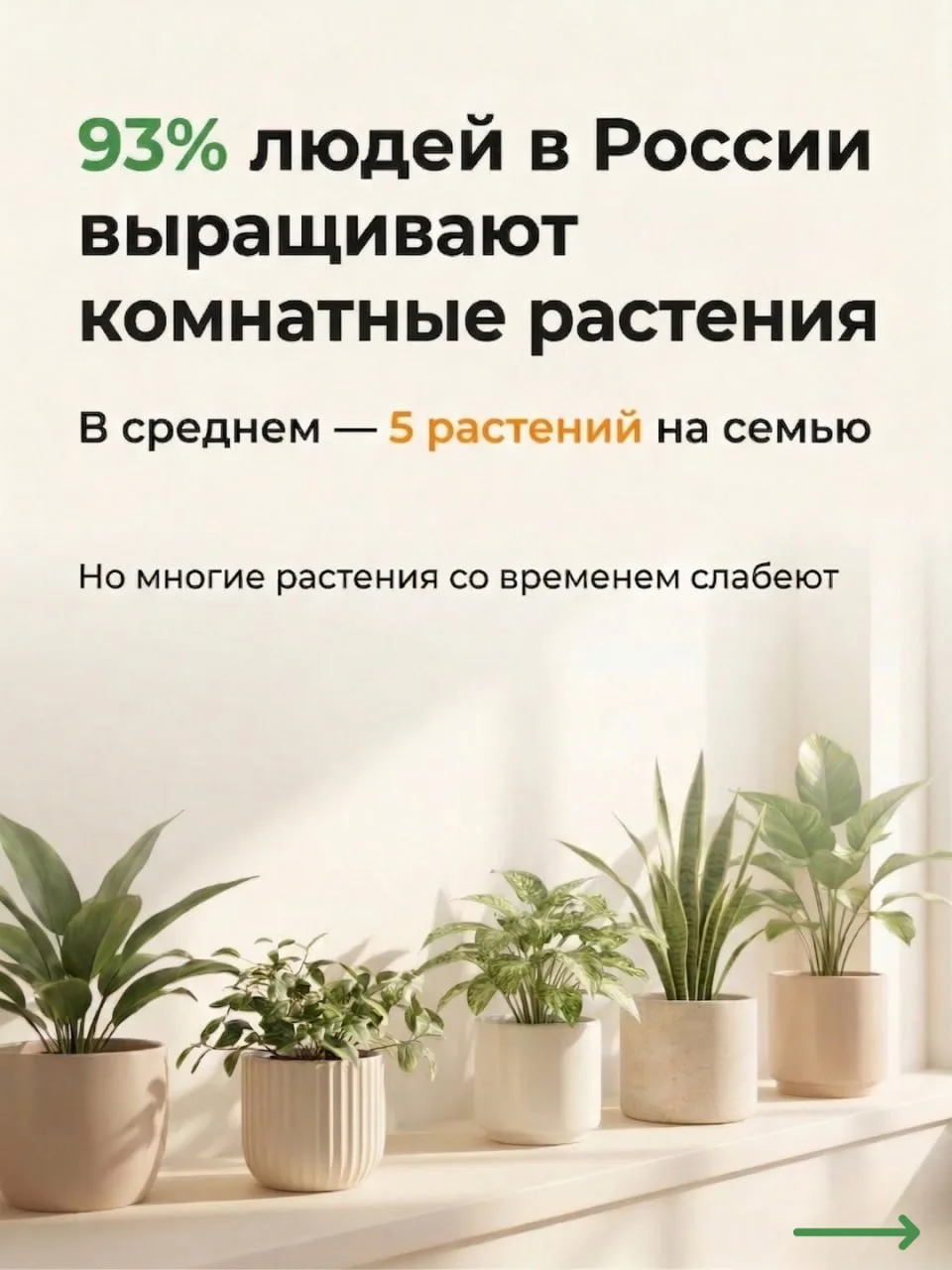 Секреты полива и питания комнатных джунглей: шпаргалка от ОрганикМикс 🌿  По статистике 93% россиян в