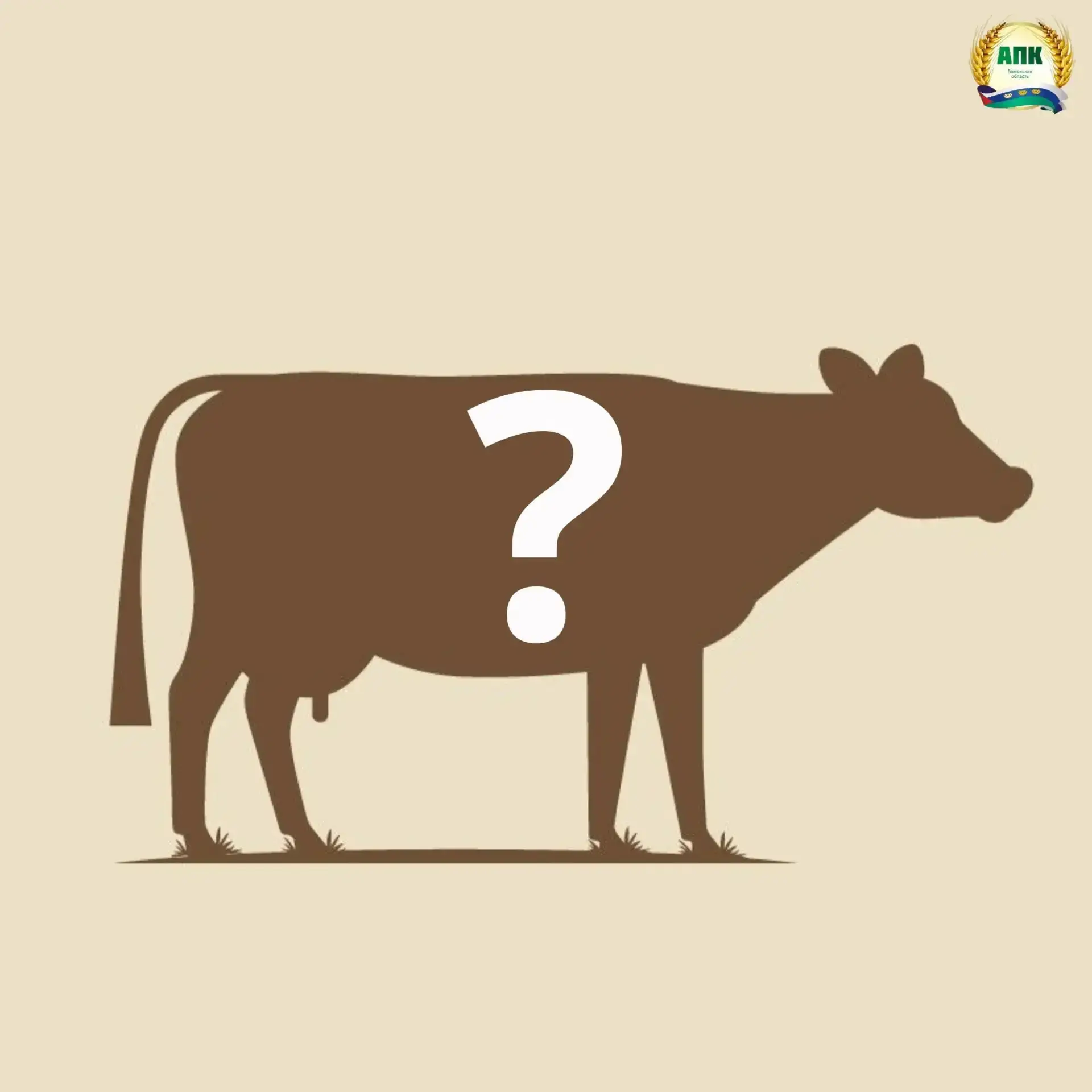 Угадайте породу🐄⁣

✅Ее называют «универсальной коровой»: она и молока дает вдоволь, и мясом славитс