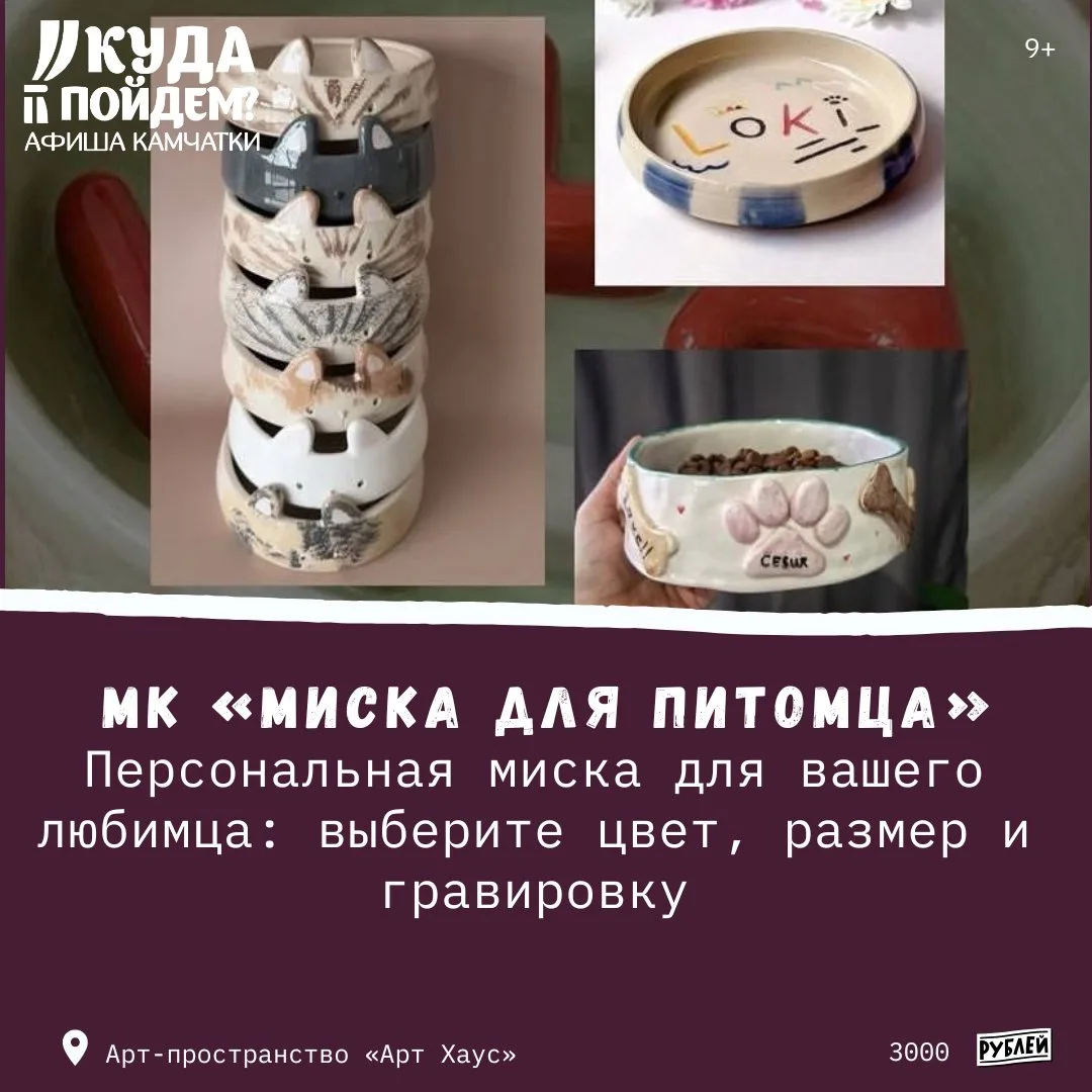🐶Где мастер-класс?