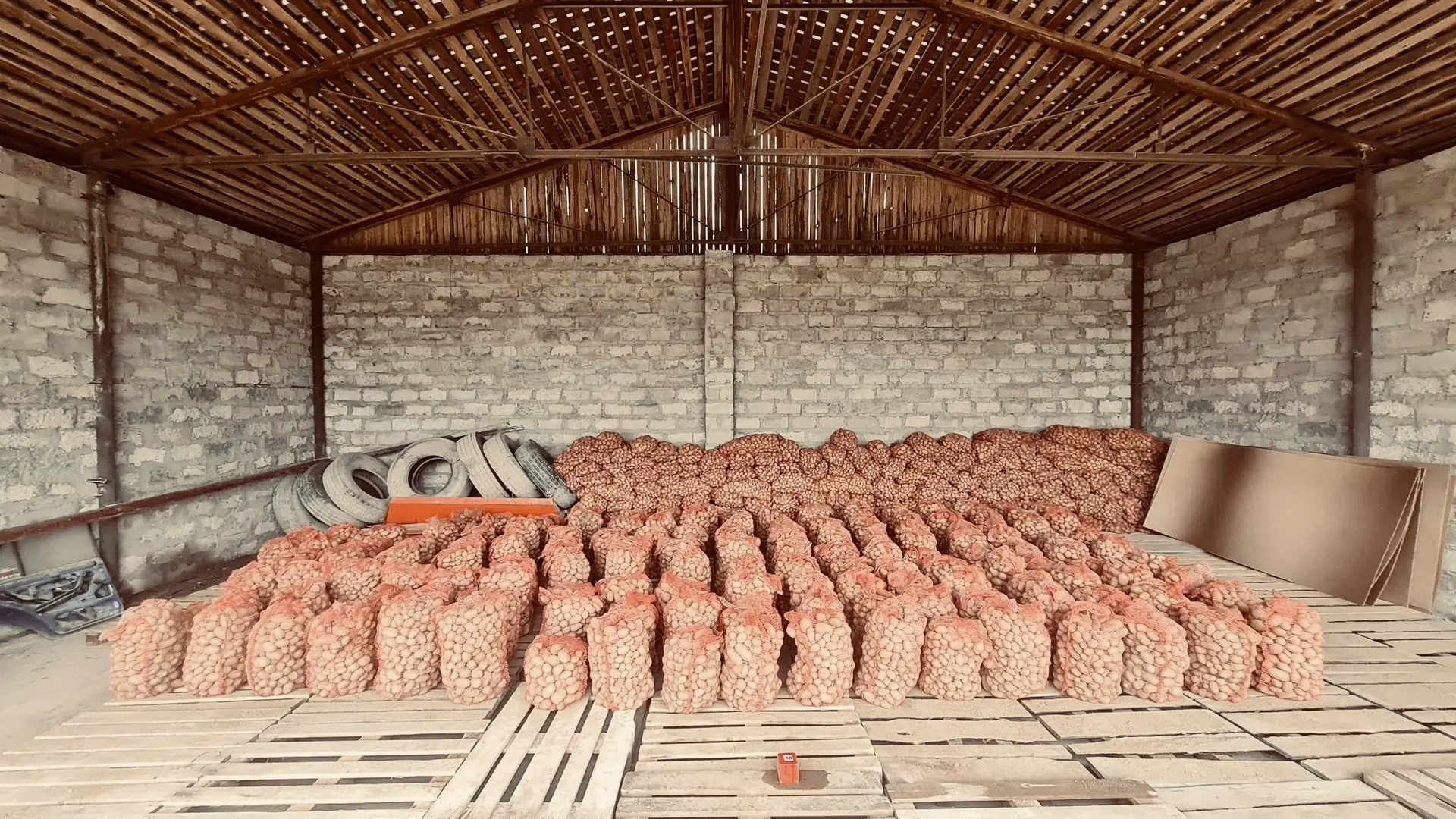 🥔Начали собирать урожай картофеля. Приезжайте помогать!