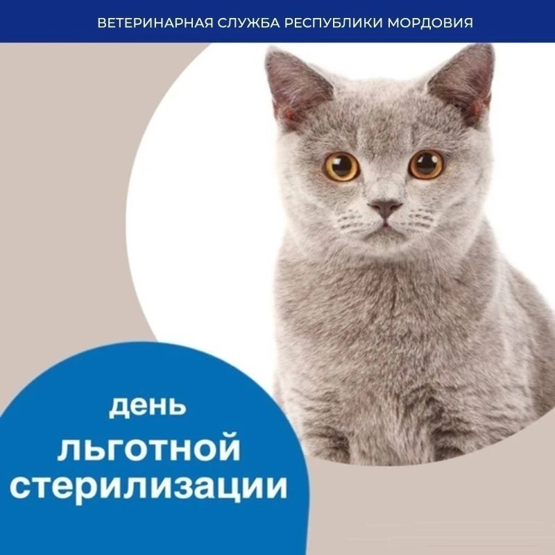 ✅Ветеринарными специалистами государственной ветеринарной службы Республики Мордовия в ...