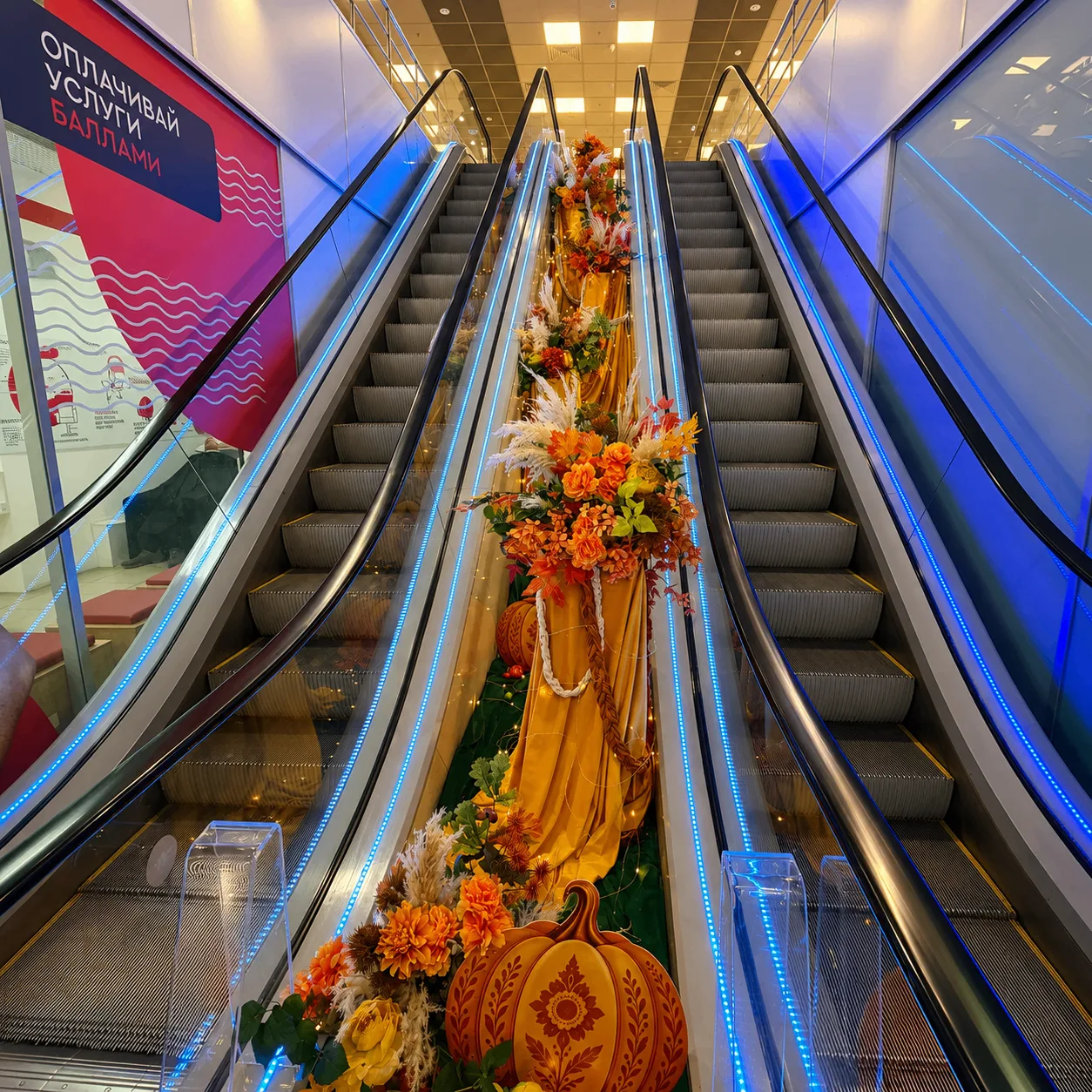 🍂 🍁 Осень пришла — и БУМ сити расцвёл в новых красках!