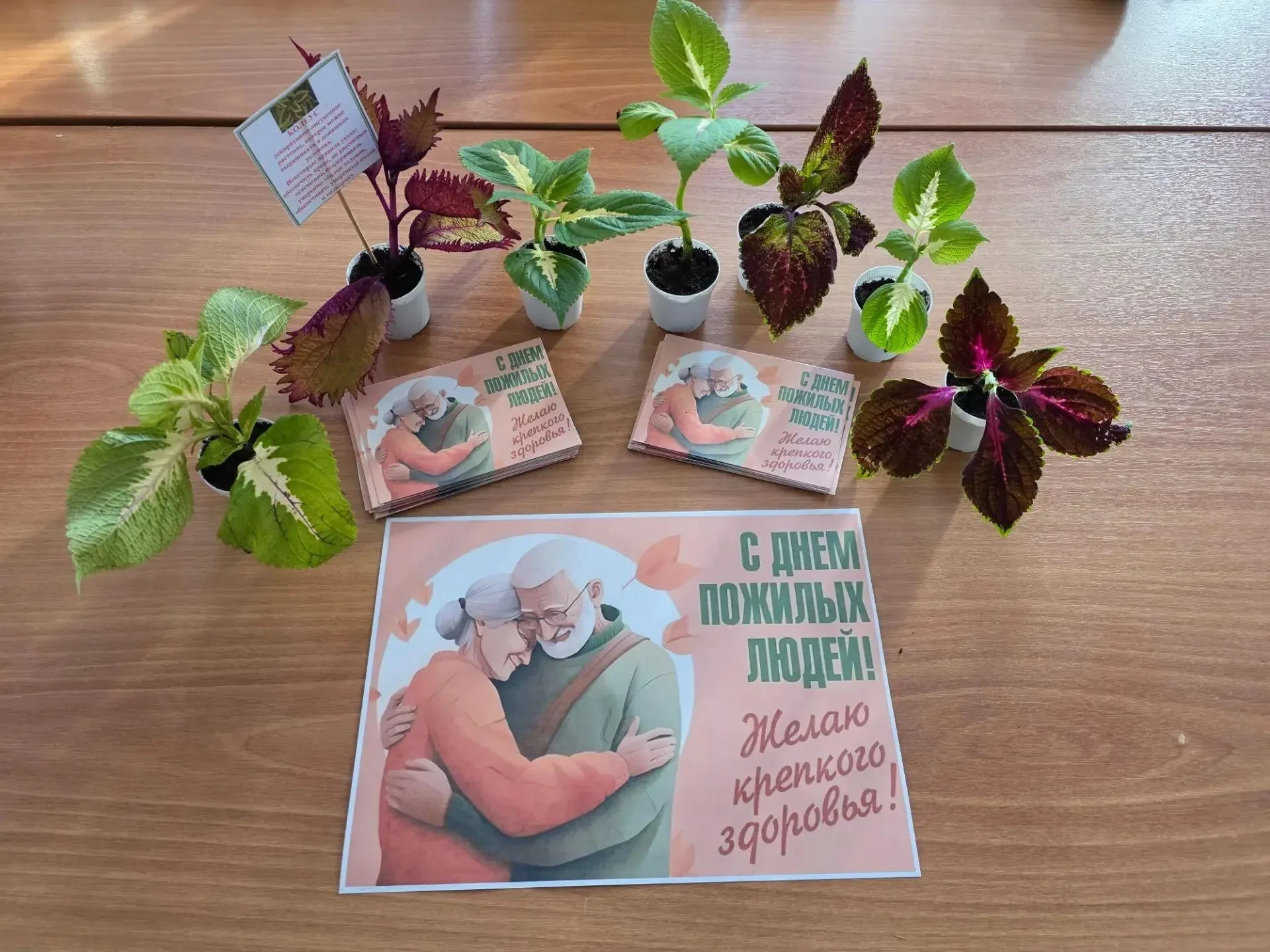 День добра и уважения: как наши ребята поздравили ветеранов труда 🌸