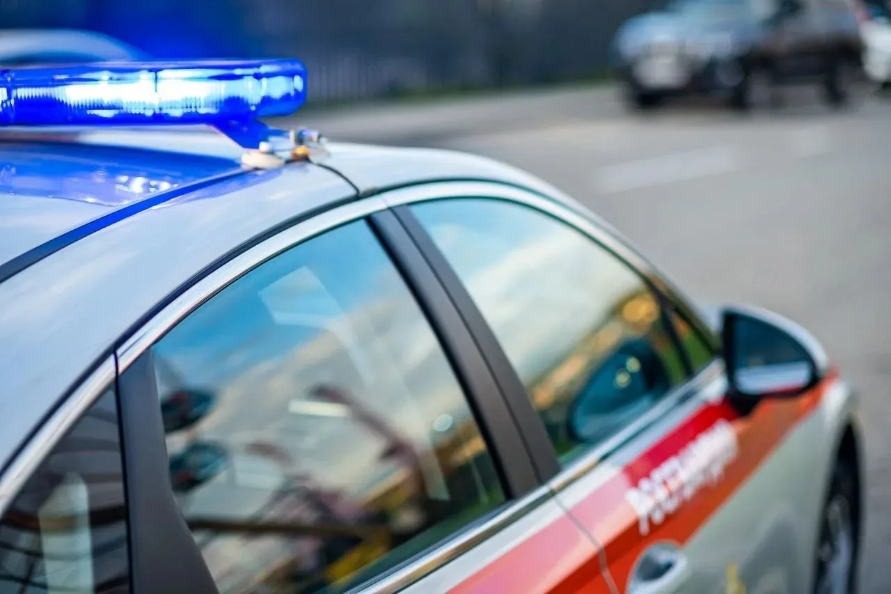 Покупатель в Новороссийске устроил драку из-за договора на диван и покусал охранников