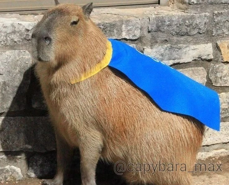Да кто такой это ваш Супермен?🤔 Знаю только КАПитана дранека😎