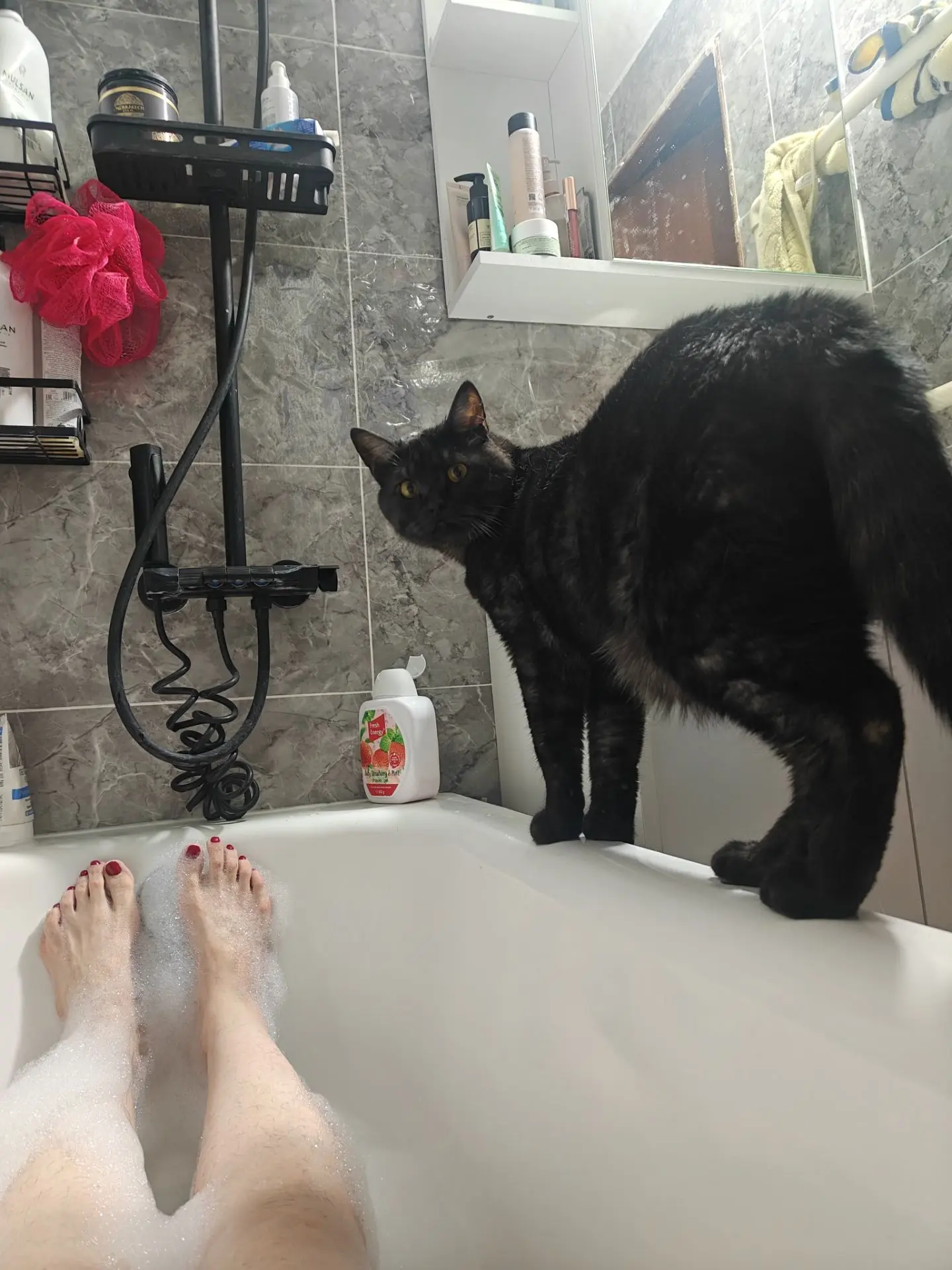 Когда котик боится, что его мамочка утонет🤣