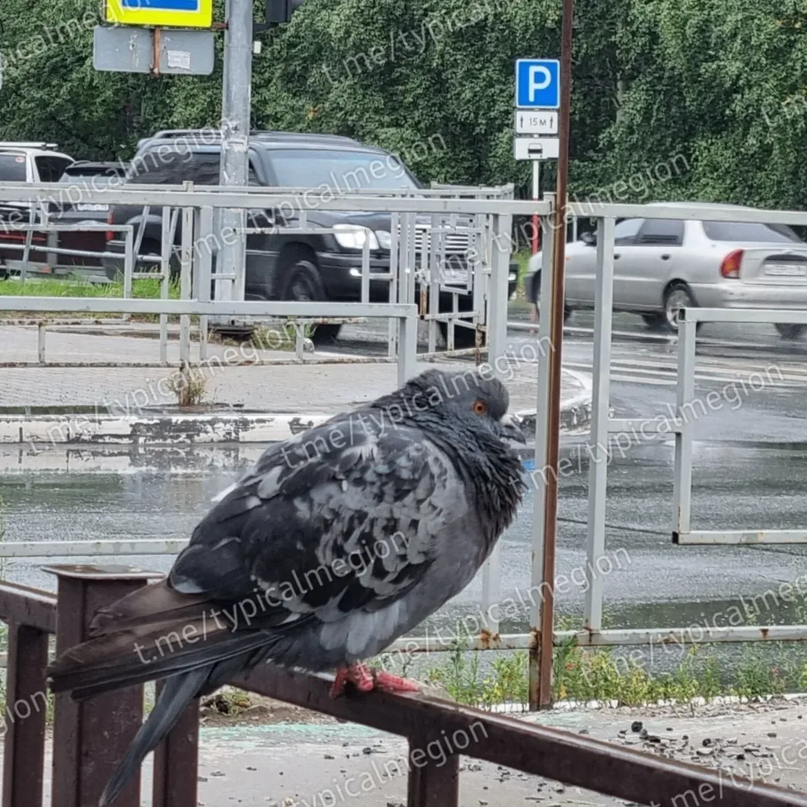 Коротко о погоде в Мегионе