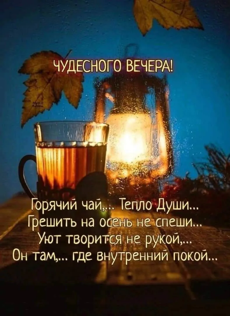#добрыйвечер