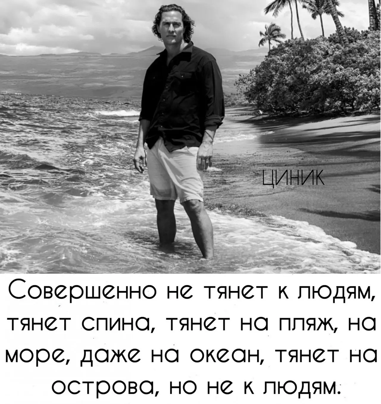 Циник