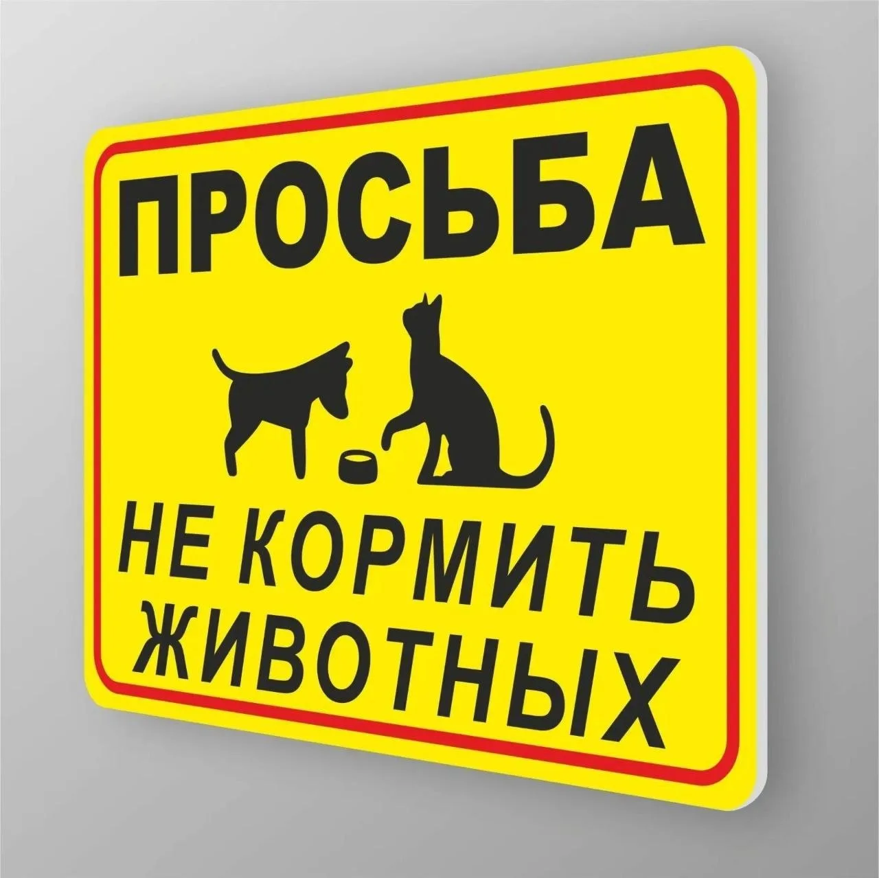 ❌ Не кормить пушистых бродяг