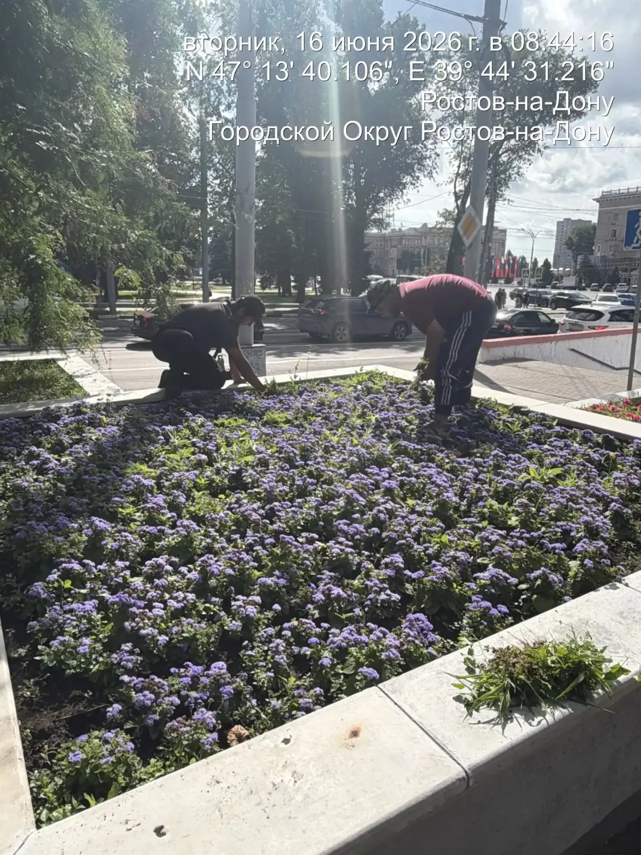 Уважаемые жители Кировского района! 

 💐В рамках заключенного муниципального контракта на территори