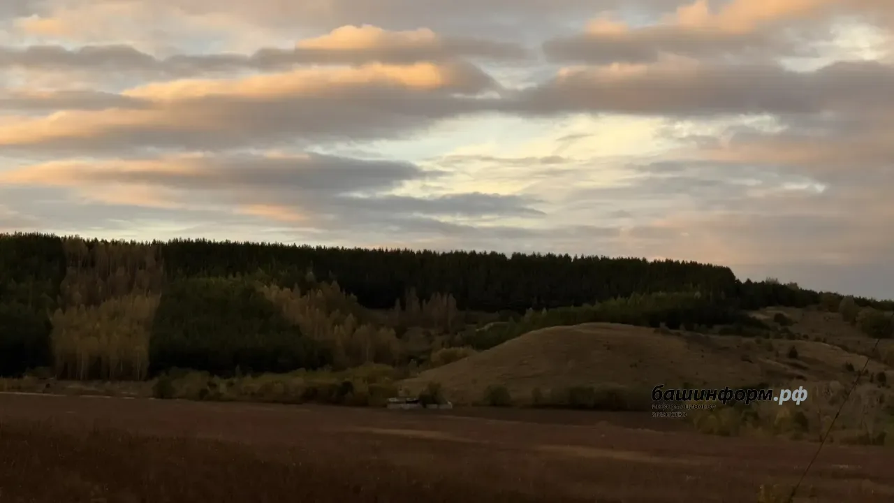 ☀️В Башкирию идет потепление