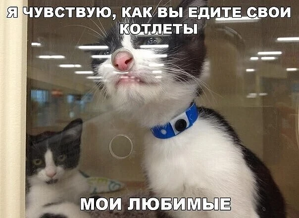 Подпишись на юмор 😂