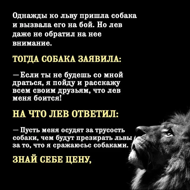 📚Омар Хайям и другие великие философы