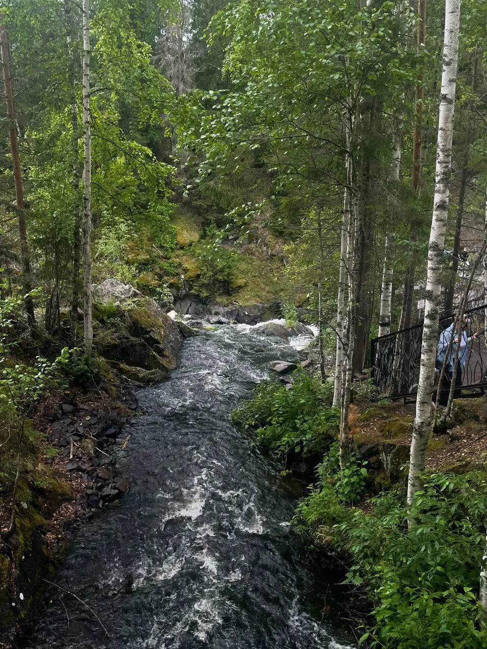 🌍 Где отдыхают наши ученики этим летом? 🌲💙

Продолжаем делиться историями наших учеников о летних
