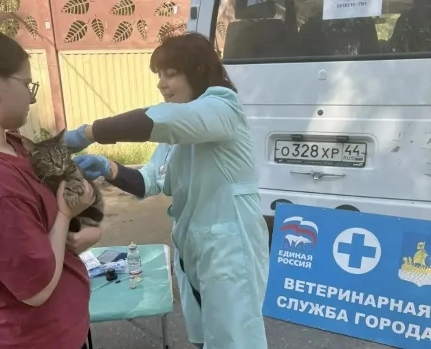 ⚡Костромских кошек и собак снова бесплатно привьют от бешенства