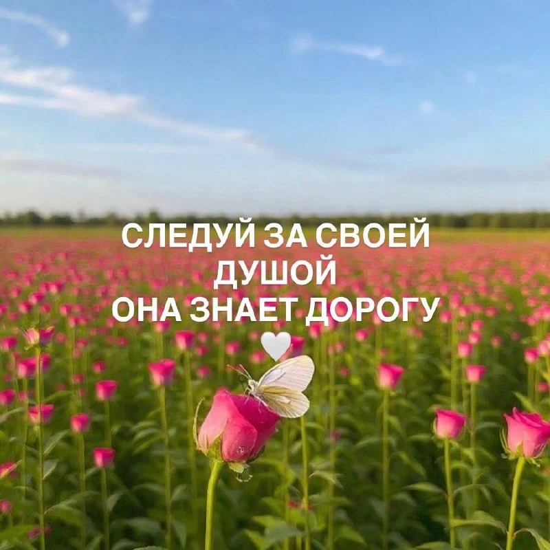 ❤️ Тебе послание…