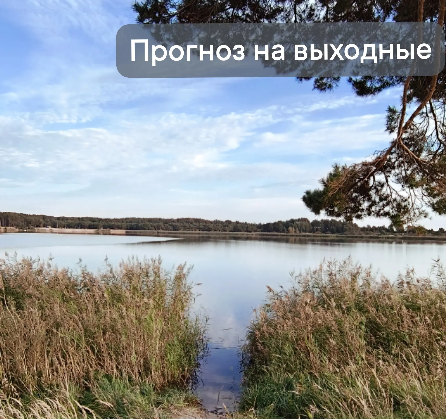 ПРОГНОЗ НА ВЫХОДНЫЕ