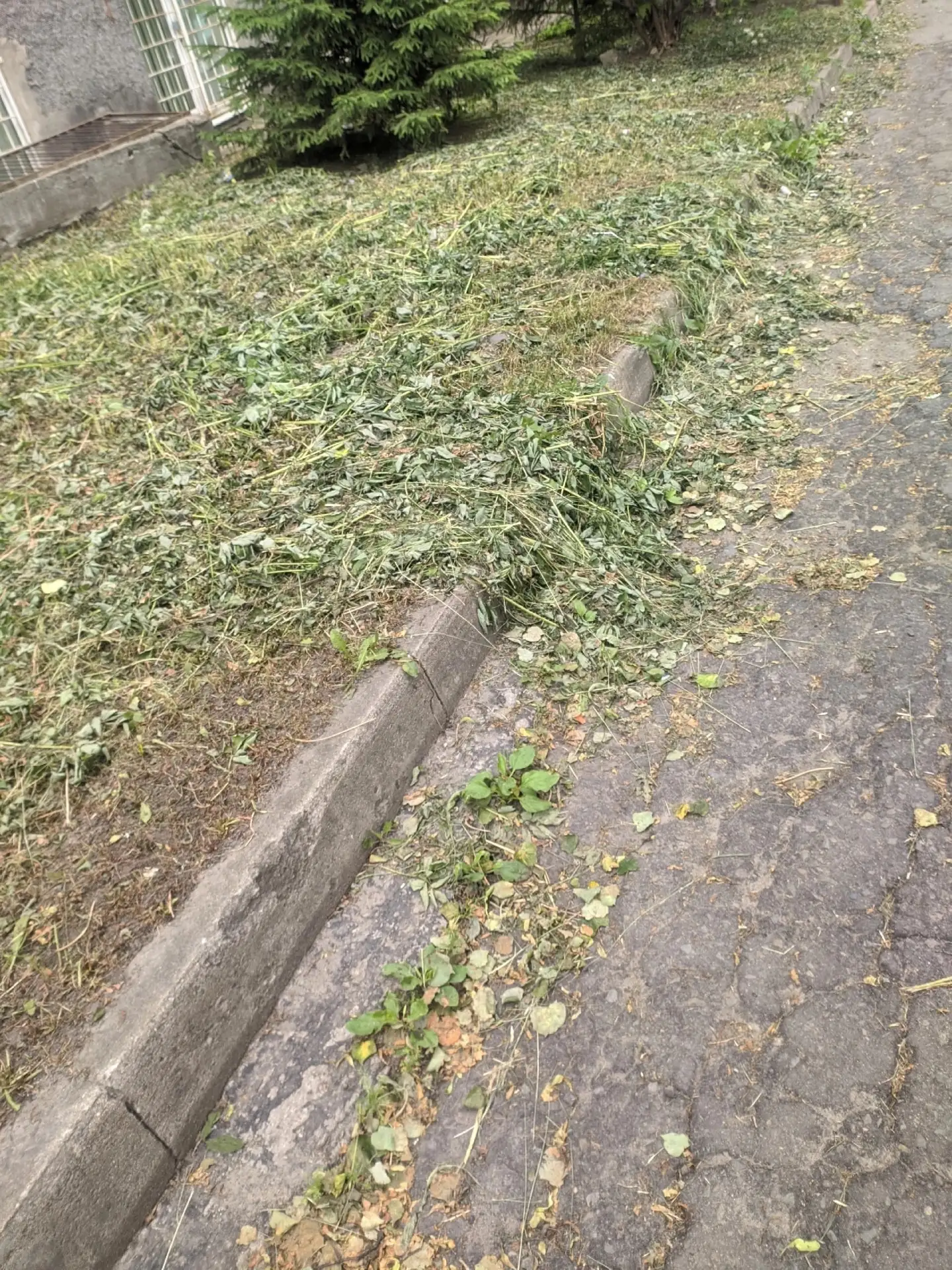Сделаем город лучше👍
Благоустройство по петрозаводски(
Мерецкова-Невского

НЕ ЗАБУДЬ ПОДПИСАТЬСЯ ⤵️